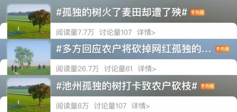 看丹观察丨感受“孤独的树”之美，也要有边界！