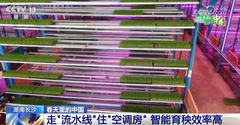 智“绘”春耕“新”图景 “赏花经济”为乡村振兴“景”上添“彩”