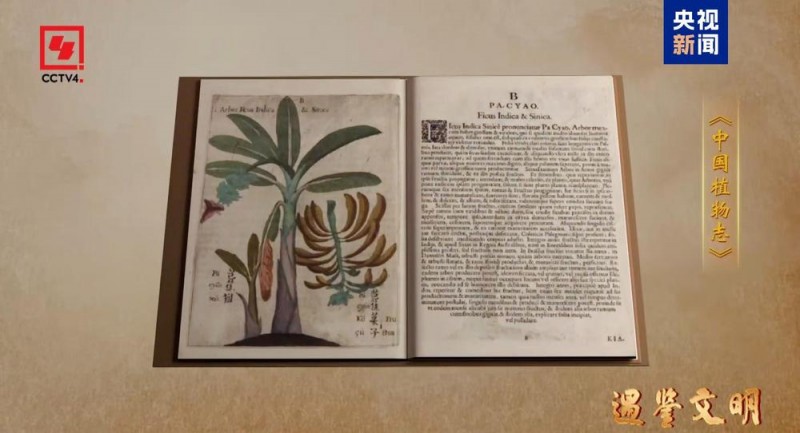 文化中国行丨中医既是医学更是哲学