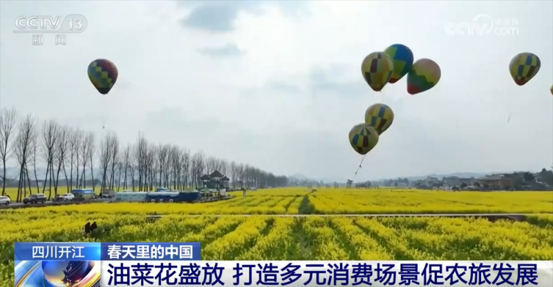 各地抓住“赏花流量”将其转化为“文旅消费增量” 农文旅市场掀热潮
