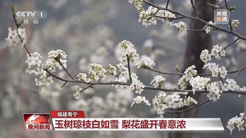“花样经济”升温 带你“花式”解锁好春光