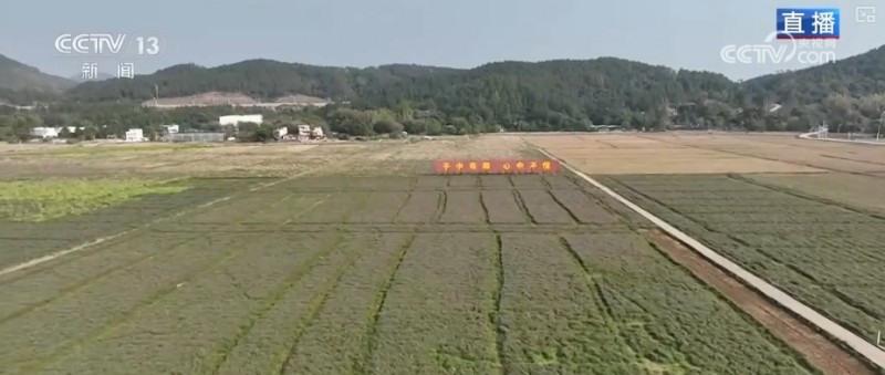 农业生产向“智”向“新” “太空紫云英”化为春泥助春耕