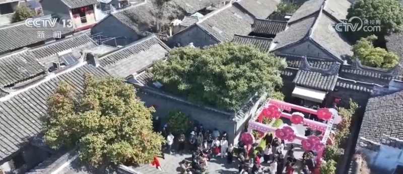 春赏花、夏榨油、秋收粮 “赏花+”扮“靓”经济新增长点