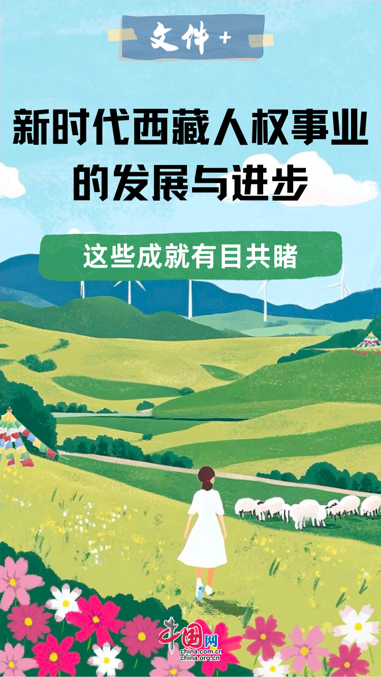 新时代西藏人权事业的发展与进步 这些成就有目共睹