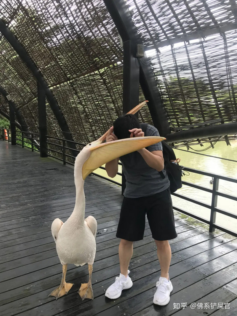 瞎扯 · 你吃过最奇葩的食堂菜是什么?