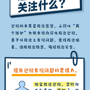 2025年正风肃纪反腐怎么干 | 巡视将重点关注什么