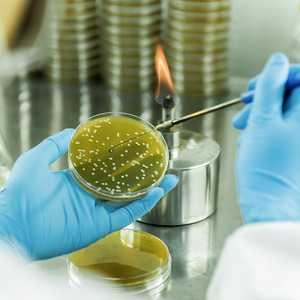 【战新产业“百大工程”】招商局集团领航生物基聚酰胺创新突破 打造生物经济新引擎