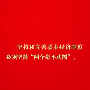 金句｜坚持和落实“两个毫不动摇”，总书记这样深入阐述