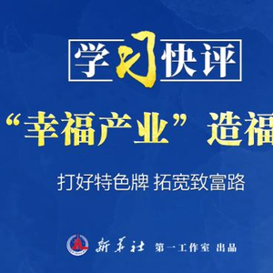 学习快评｜让“幸福产业”造福群众