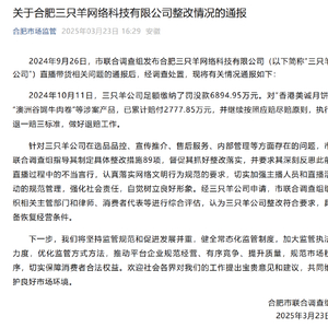 合肥市联合调查组：三只羊公司整改符合要求 具备恢复经营条件