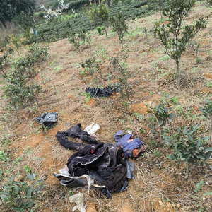 男子持锄头打死堂兄堂嫂后被判死缓，检方提出抗诉，家属：因土地纠纷积怨