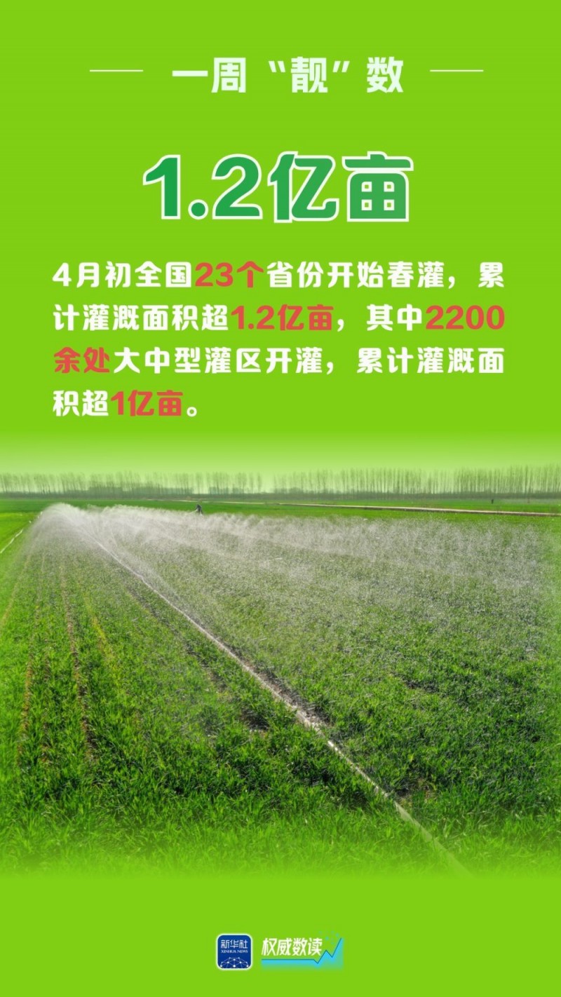 权威数读｜一周“靓”数