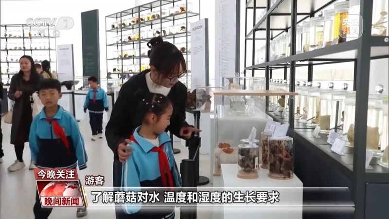 悬崖上的咖啡馆、蘑菇尝鲜游……清明假期这些旅行玩法很有趣