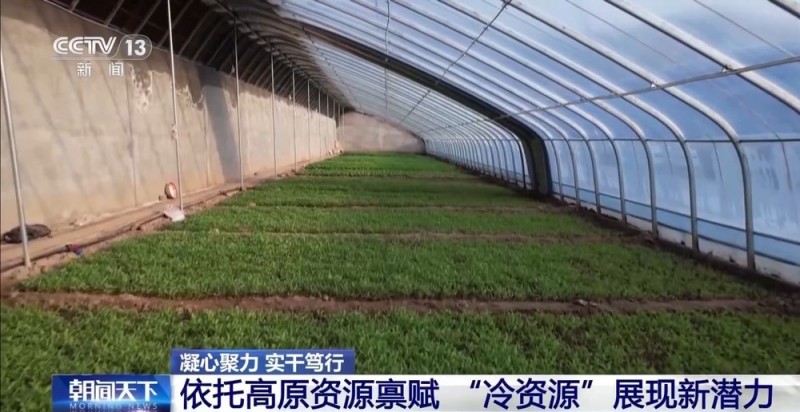 凝心聚力 实干笃行丨青海外贸缘何实现增速全国第一