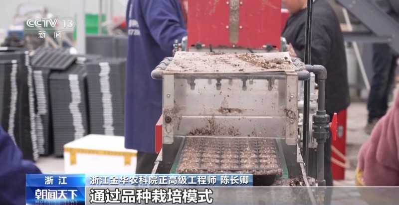 一线调研丨 农机“出海”忙 看春耕里的“全球生意”