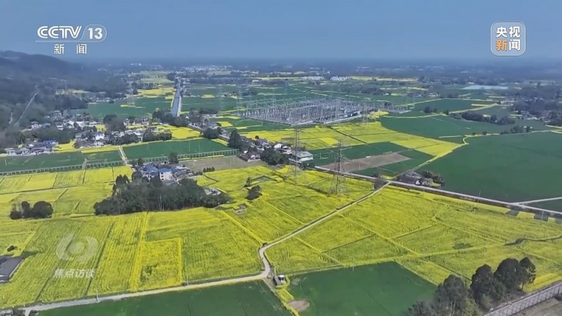 焦点访谈丨创新多元化消费场景 助力“春日经济”焕发新活力