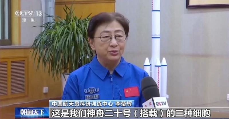 “神舟家族”六次在轨传递“接力棒” 中国空间站再添三项细胞学实验