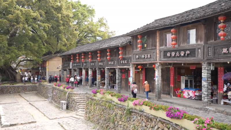 文化中国行丨福建官洋村：踏青正当时 “春日经济”持续升温