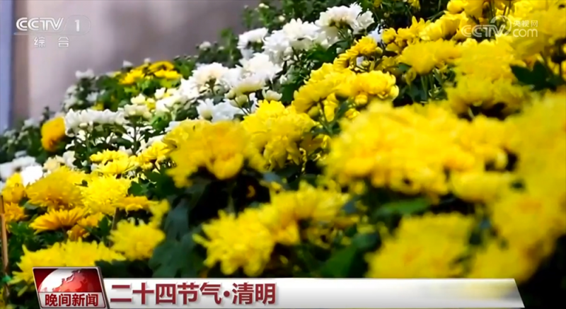 “梨花风起正清明” 神州大地春和景明 恰是一年春好处