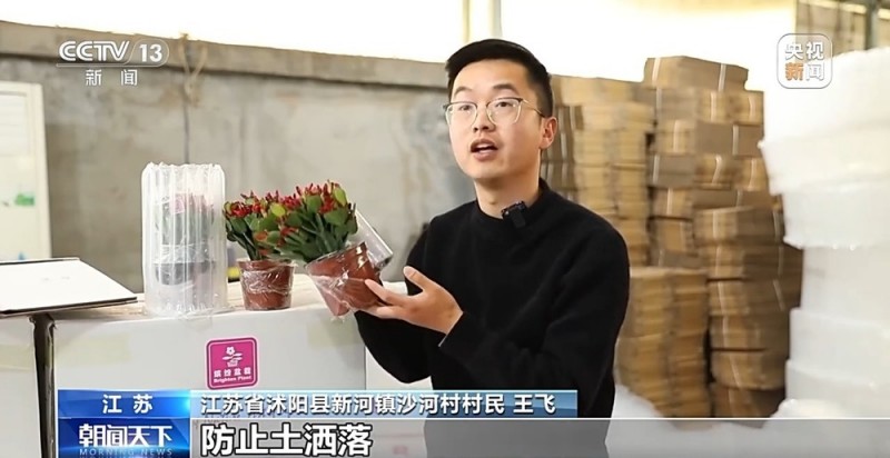 定时开花、抢“鲜”抵达……“鲜花经济”持续绽放新活力