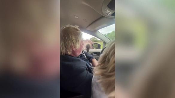 英媒:英国前首相约翰逊与家人赴美旅游时遭鸵鸟“袭击”,被啄后当场爆粗口