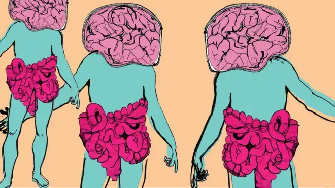 人类为何无法准确控制自己的每一个器官?