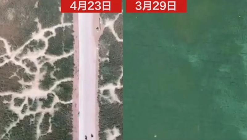 看丹观察丨网红麦田1个月被踩得“伤痕累累”，打卡照不该以糟蹋粮食为代价！
