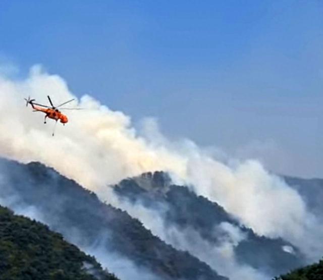 韩国东北山区发生野火,数百人被疏散