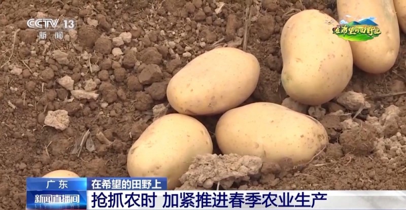 田间地头“上新”啦！无人机、北斗导航助力春耕