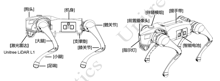 他们把宇树的网红机器狗「剥皮拆骨」，发现了它倒立行走的秘密