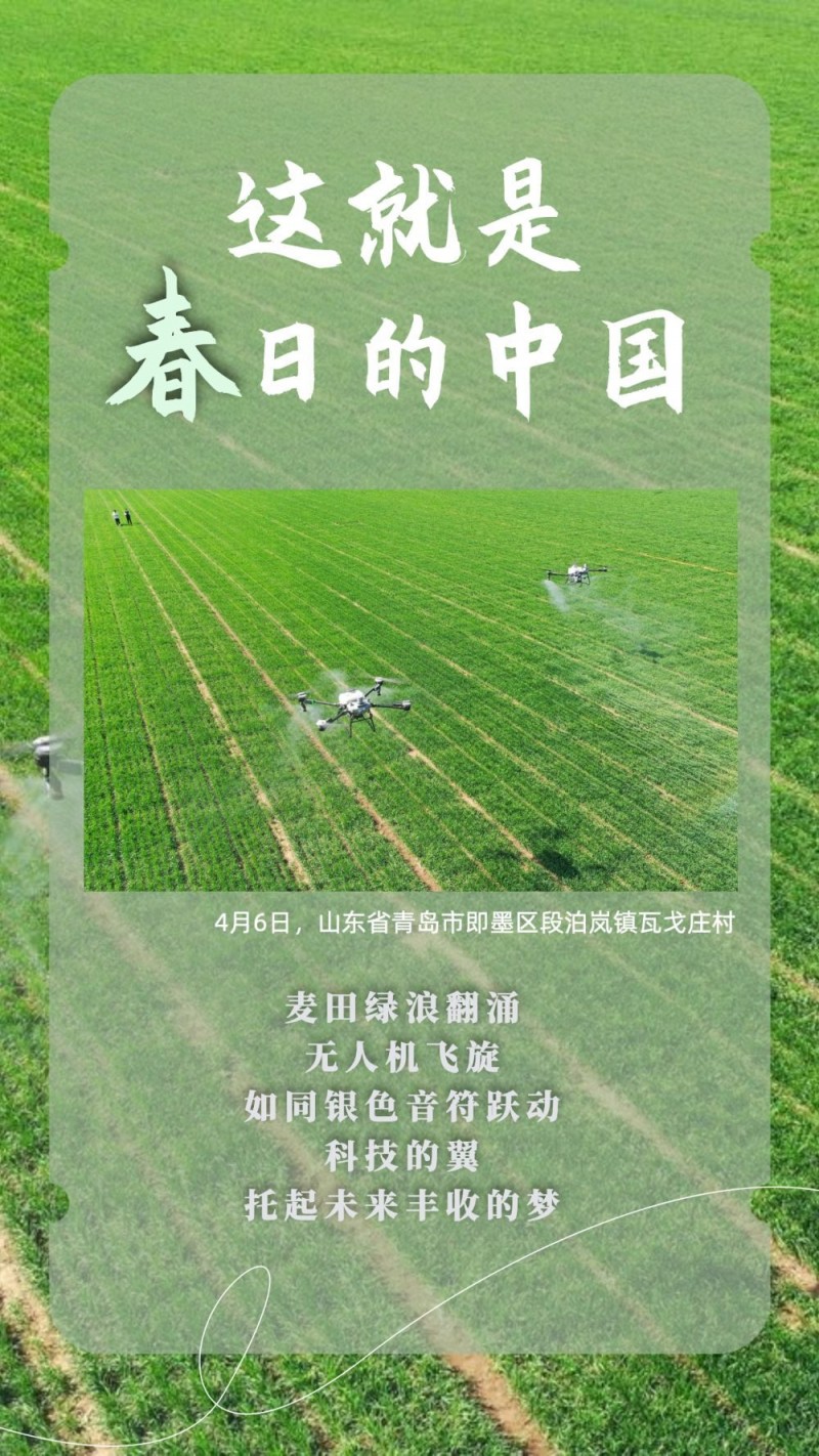 这就是春日的中国！