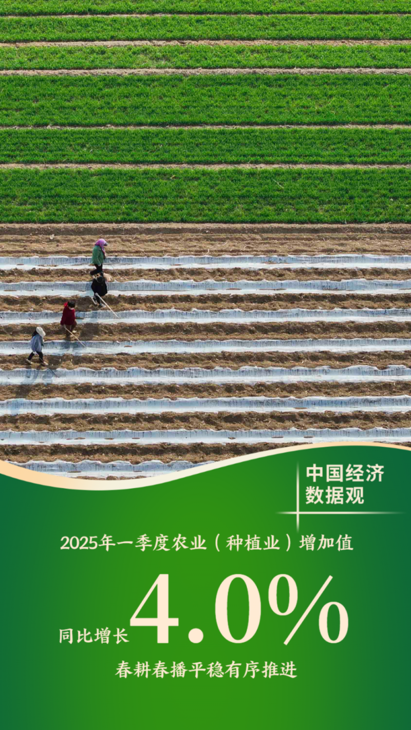 中国经济数据观｜十组数据看一季度经济发展成色