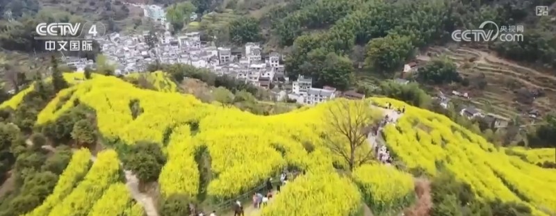 沙漠“锁边”生态日益向好引客来 文旅市场一路繁花释放“新”潜力
