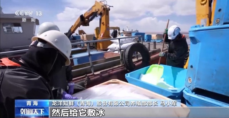 凝心聚力 实干笃行丨青海外贸缘何实现增速全国第一