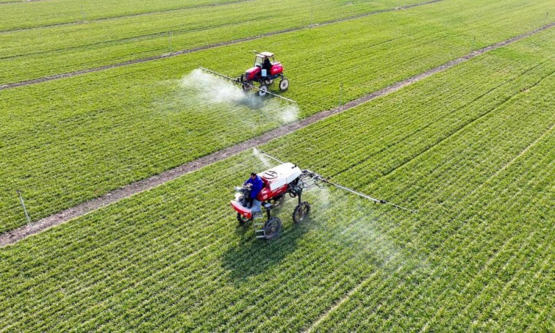 经济季报听信心虼2025年首季成绩单看中国经济稳健开局