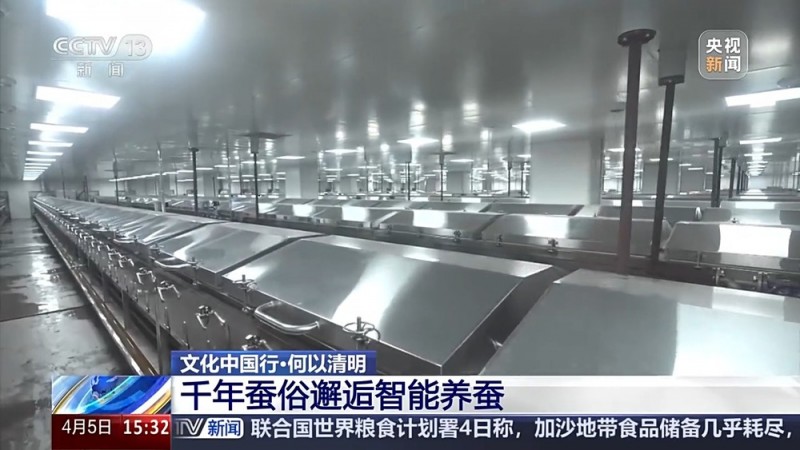 文化中国行丨播种“冰麦”、“龙王”巡游、智能养蚕 他们这样过清明→