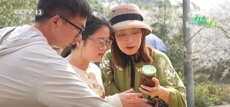 听音乐、赏美景、品美食……“颜值”变“产值”激活乡村春日消费新场景