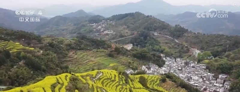 沙漠“锁边”生态日益向好引客来 文旅市场一路繁花释放“新”潜力