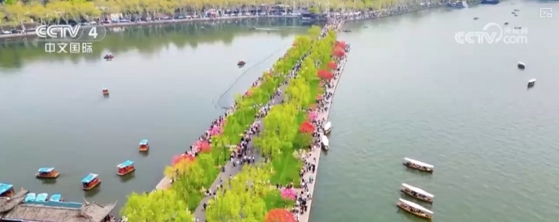 沙漠“锁边”生态日益向好引客来 文旅市场一路繁花释放“新”潜力