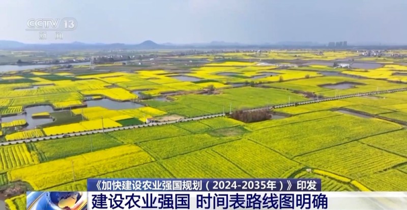 “城乡有差别、无差距” 2024－2035乡村这样变
