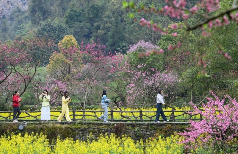 踏春赏花享胜景 文旅融合热力足――透视清明小长假出行消费亮点