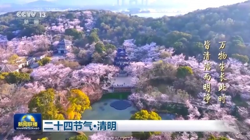 文化中国行丨二十四节气・清明 梨花风起正清明