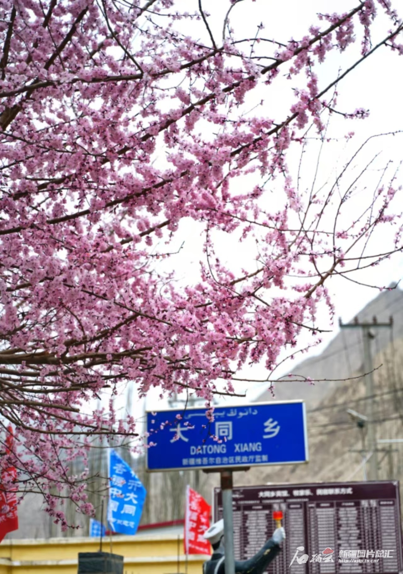 新疆是个好地方 | 踏青赏花泡温泉 来一场“疗愈式漫游”