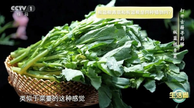 这种蔬菜钙含量比牛奶还高！春天推荐你多吃，补钙、抗病毒、降火～