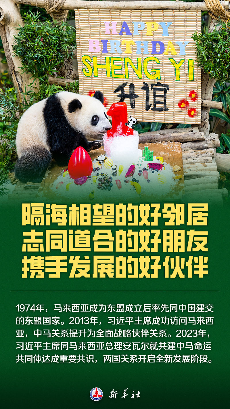 海报丨这，就是马来西亚！