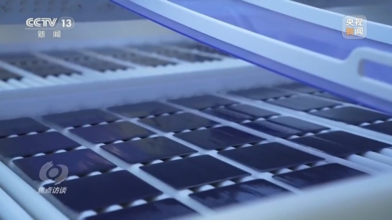 焦点访谈丨以高质量发展的确定性应对外部环境急剧变化的不确定性