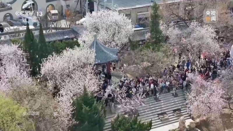 焦点访谈丨创新多元化消费场景 助力“春日经济”焕发新活力