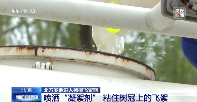 这个“过敏季”为何这么凶？专家支招科学防护指南