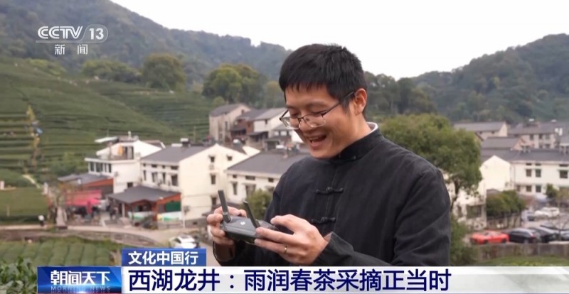 文化中国行丨西湖龙井核心产区迎来采摘高峰期 来品尝春天的一口“鲜”