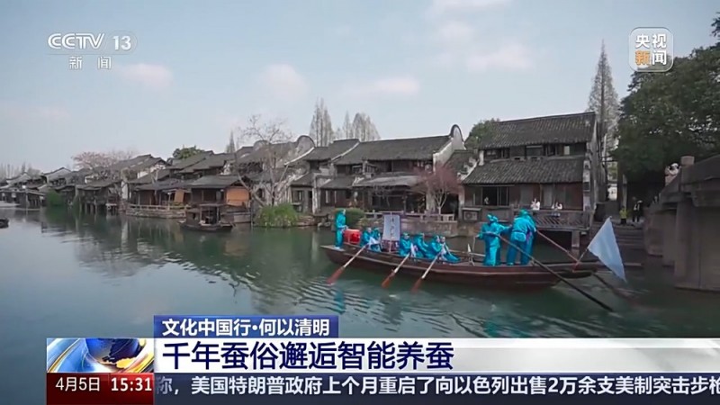 文化中国行丨播种“冰麦”、“龙王”巡游、智能养蚕 他们这样过清明→